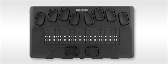 Brailliant BI 20X